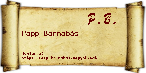 Papp Barnabás névjegykártya