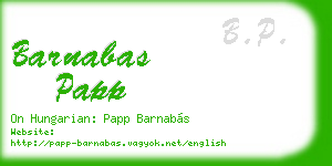 barnabas papp business card