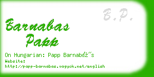 barnabas papp business card